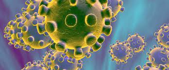 MP : इन जिलों में बढ़ रहे कोरोना संक्रमण के मामले, मुख्यमंत्री ने चेताया